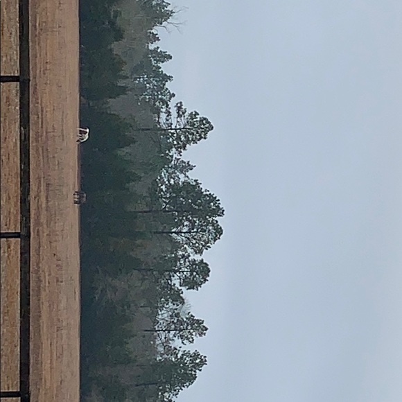 Meet your Posher, Michele - Picture 1 of 1